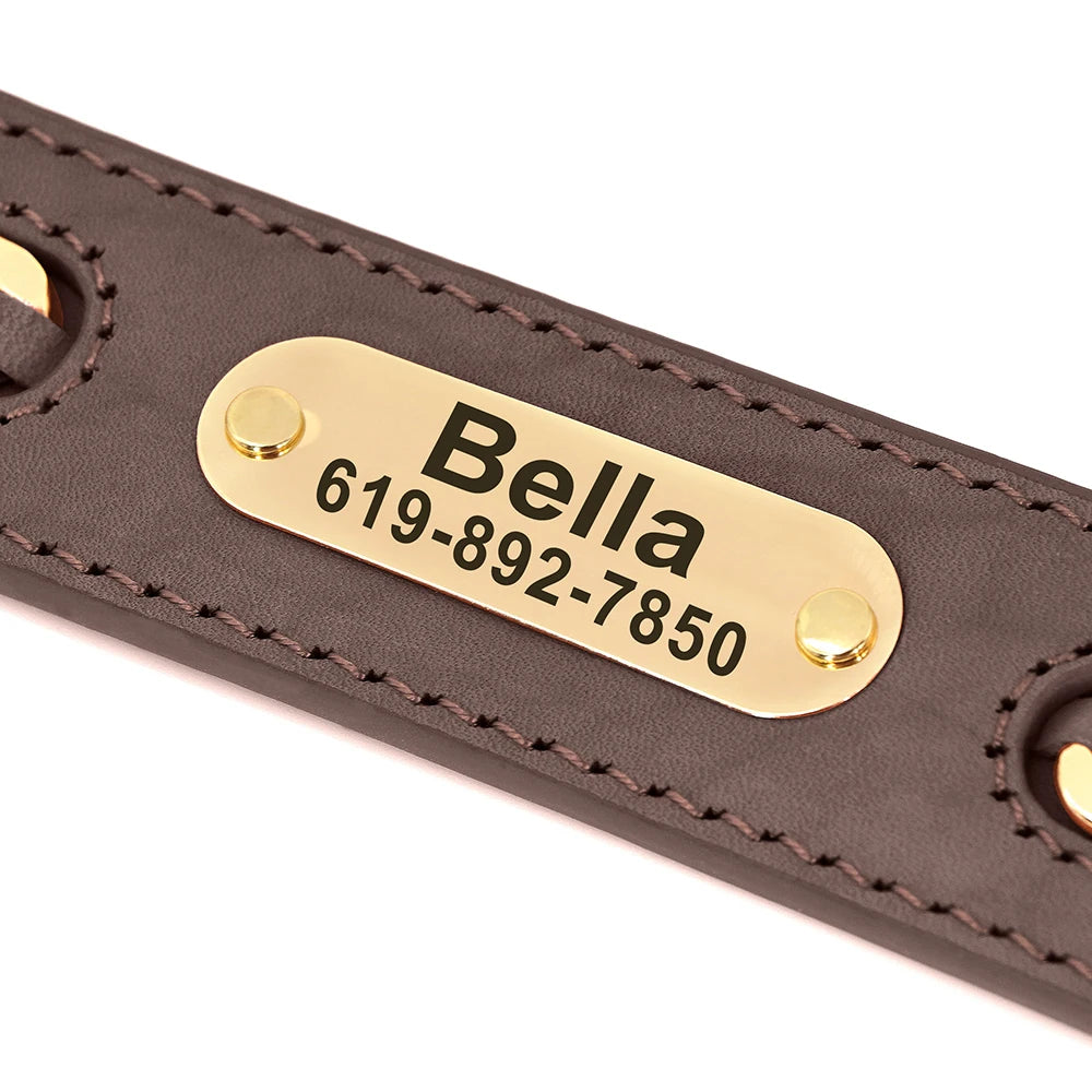 Gros plan sur la plaque d’identification gravée fixée sur un collier pour chien en cuir.