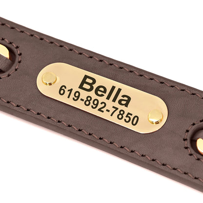 Gros plan sur la plaque d’identification gravée fixée sur un collier pour chien en cuir.