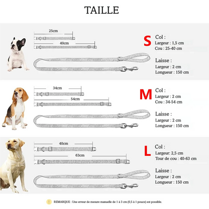 Comparatif visuel sur la qualité de la boucle métal du collier chien personnalisable.
