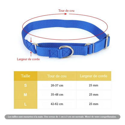 Guide de taille d’un collier martingale bleu pour chien avec mesures de tour de cou et largeur.