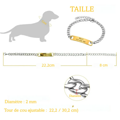 Guide de taille du collier personnalisé pour petit chien avec dimensions et tour de cou réglable.