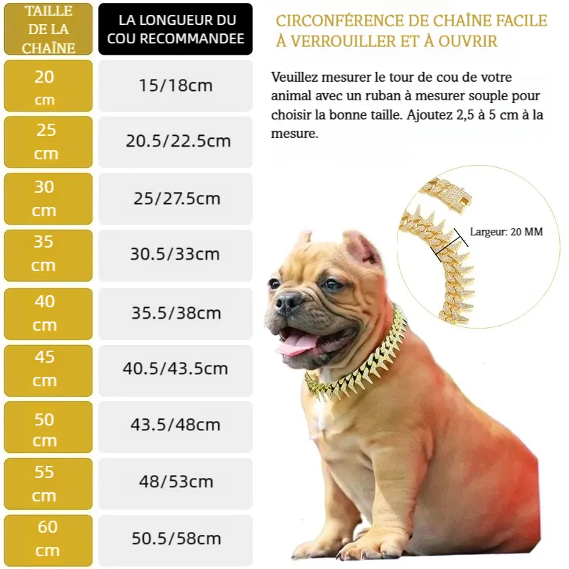 Guide des tailles d’un collier chaîne pour chien avec pointes et strass, à côté d’un bulldog.