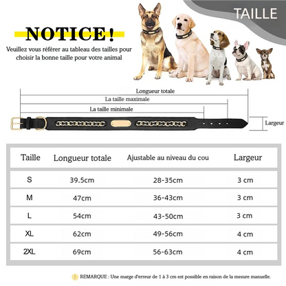 Guide des tailles du collier pour chien en cuir avec chaîne dorée décorative et plaque d’identification.