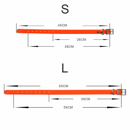 Guide des tailles du collier pour chien en TPU avec dimensions S et L.