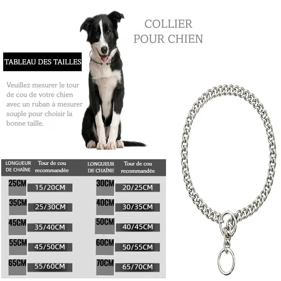 Guide des tailles du collier chaîne argenté pour chien avec tableau des longueurs recommandées.