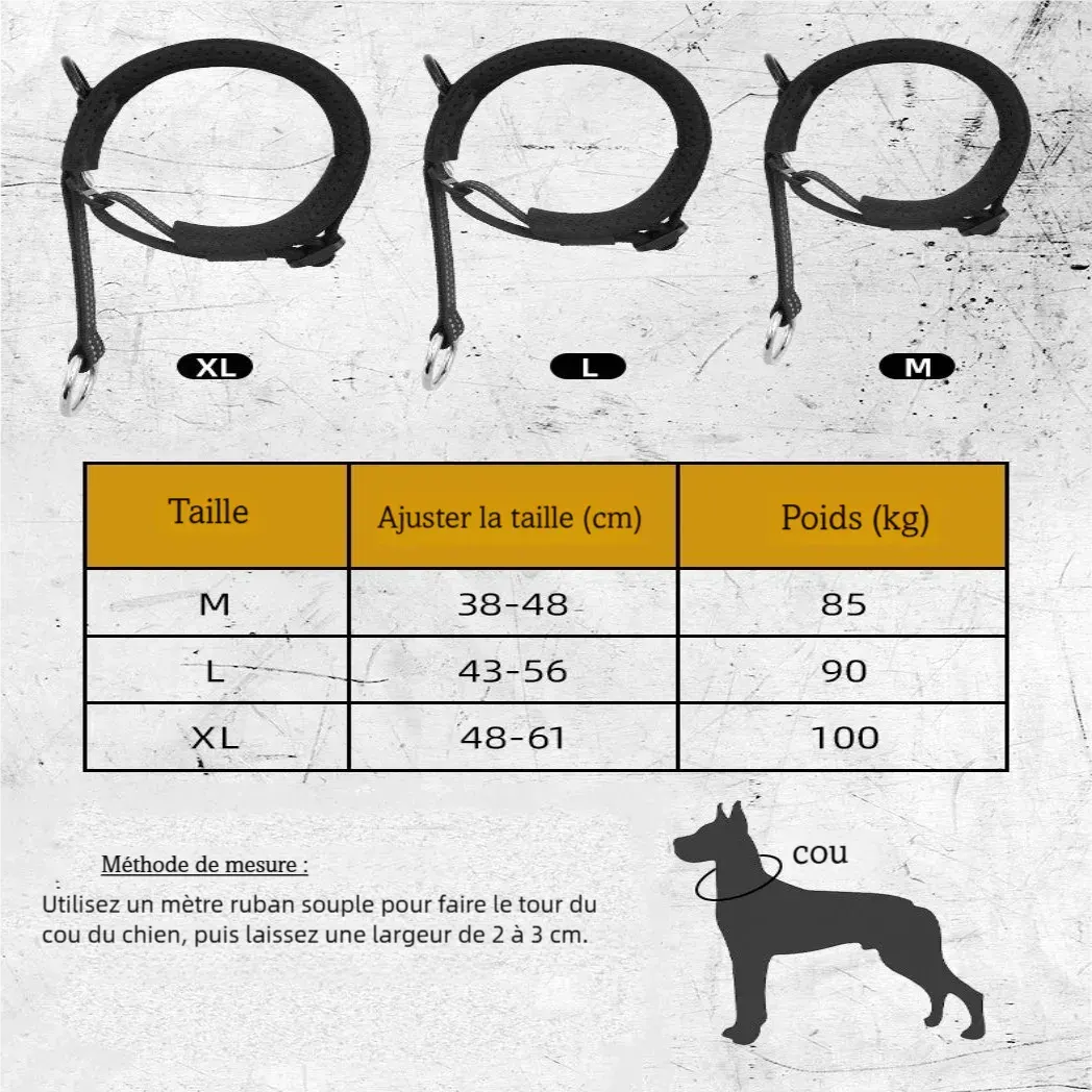 Guide des tailles d’un collier d’entraînement pour chien en M, L et XL.