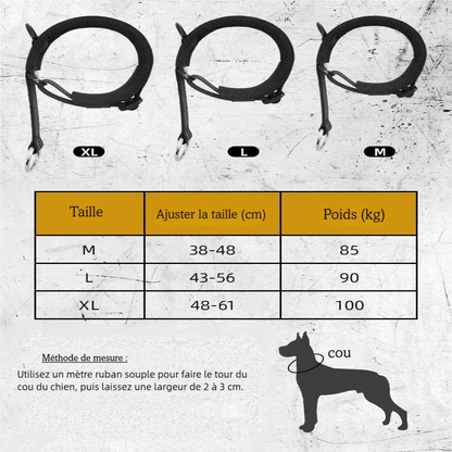 Guide des tailles d’un collier d’entraînement pour chien en M, L et XL.