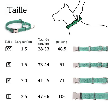 Collier martingale pour chien personnalisé en nylon réfléchissant