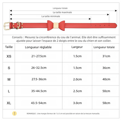 Guide des tailles du collier personnalisé pour chien avec longueurs ajustables du XS au XL