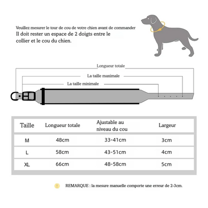 Guide des tailles pour grand collier personnalisé pour chien moyen et grand.