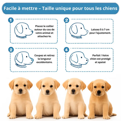 Guide d’utilisation du collier anti-stress pour chien avec étapes de pose et d’ajustement