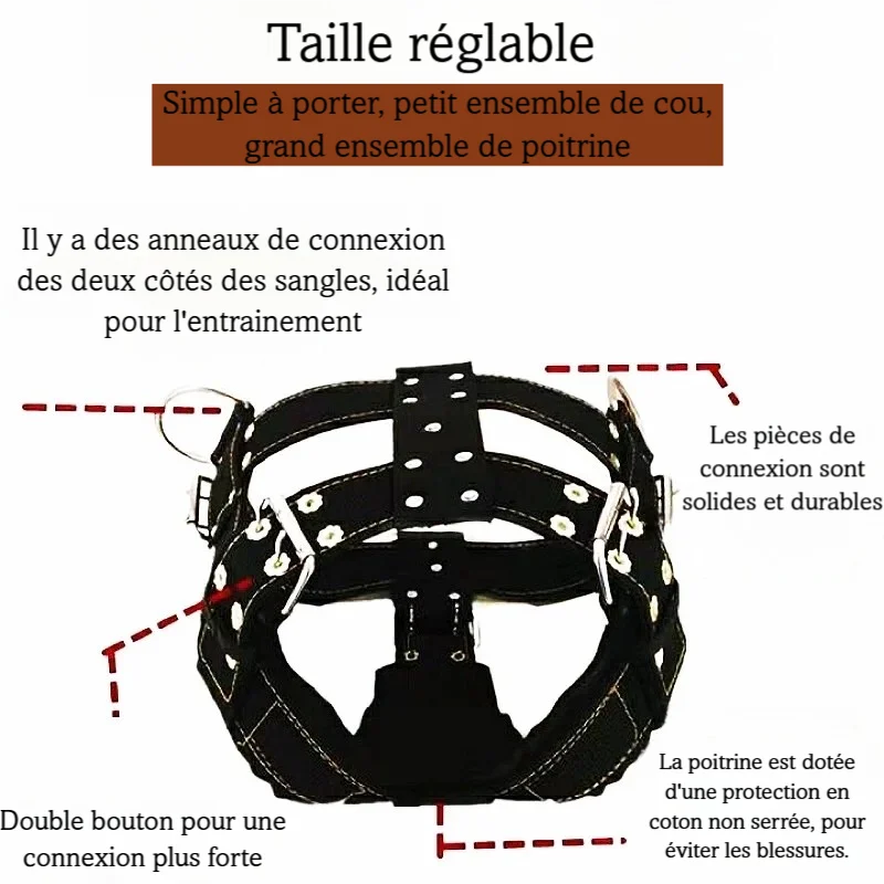 Visuel explicatif du harnais large montrant les zones réglables, les anneaux et la protection rembourrée.