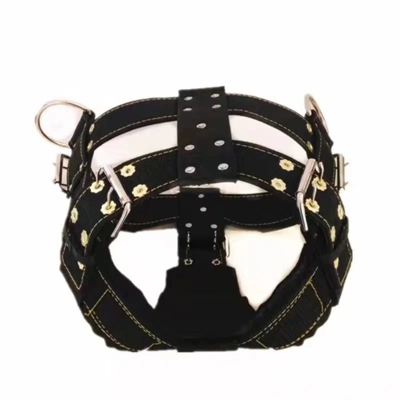Vue de face d’un harnais de traction noir pour grand chien avec anneaux métalliques sur fond blanc.