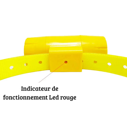 Détail du collier beeper jaune avec voyant LED rouge de visualisation sur fond blanc.