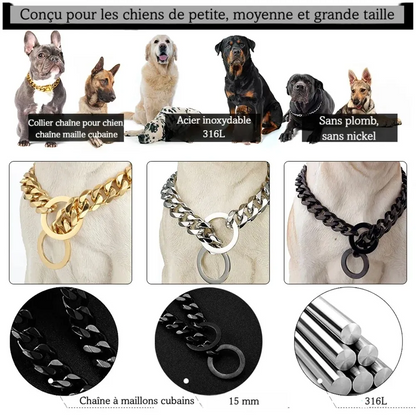 Infographie montrant plusieurs chiens et différentes variantes du collier chaîne coulissant pour chien.