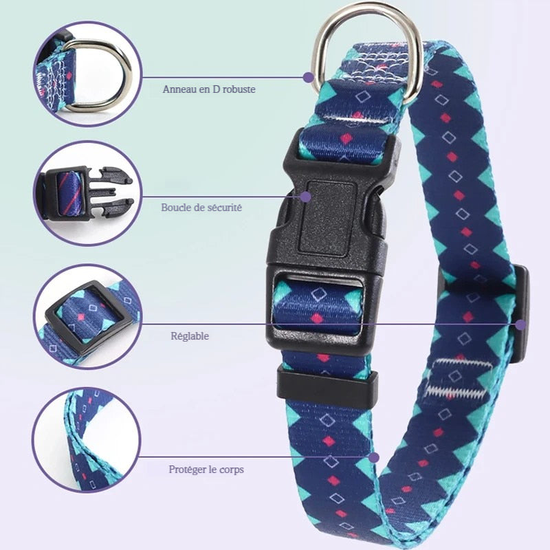 Infographie technique du collier bleu avec quatre zooms montrant l'anneau en D, la boucle de sécurité et le système réglable.