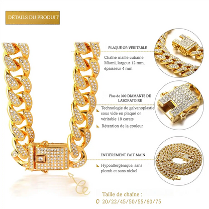 Infographie produit d’un collier chaîne doré pour chien avec strass et détails du fermoir.
