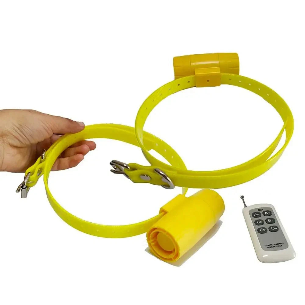 Kit beeper de chasse rechargeable présenté en configuration multi-chiens.