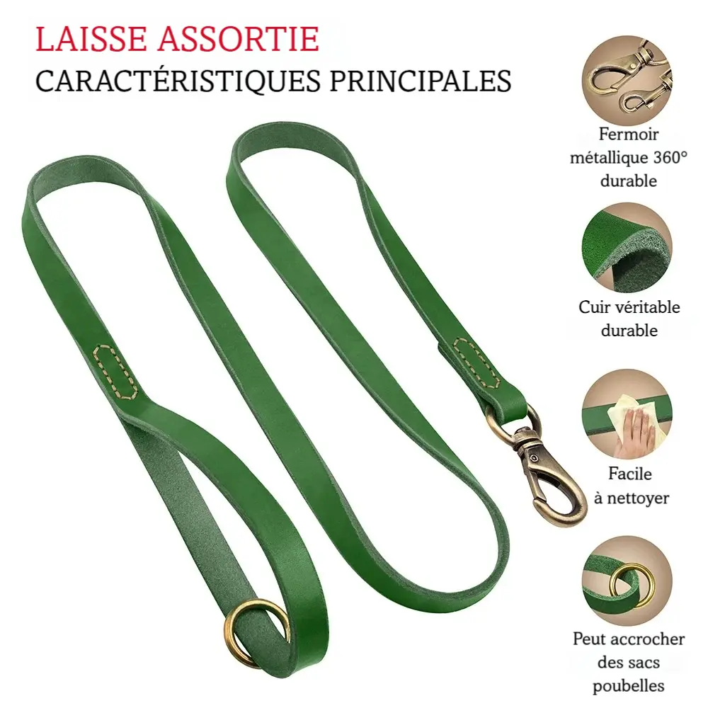 Vue produit d'une laisse pour chien en cuir verte avec mousqueton métallique et ses principales caractéristiques évoquées sur la droite de l'image.