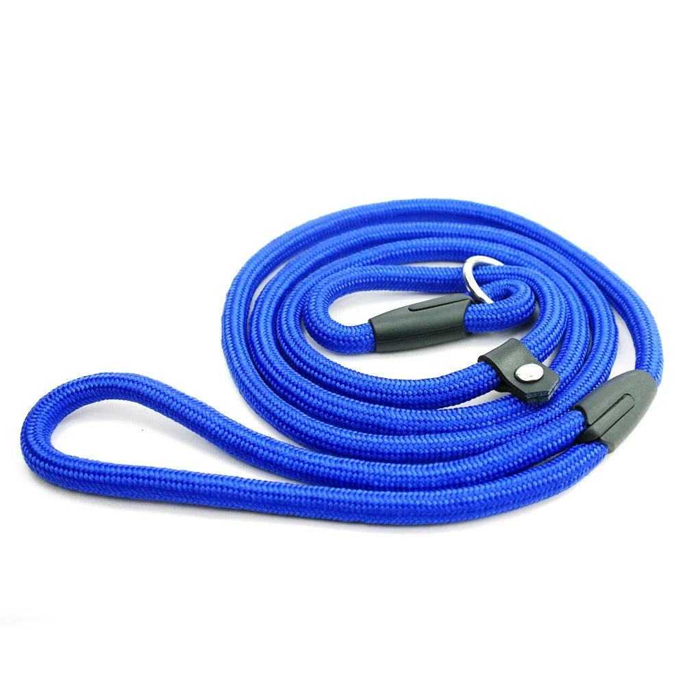 Laisse-collier bleue en corde enroulée, avec boucle de cou réglable et poignée intégrée sur fond blanc.