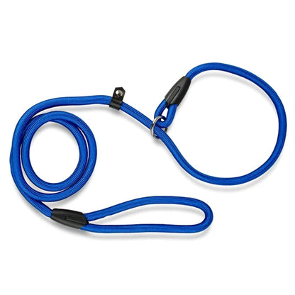 Collier en corde bleue avec laisse intégrée pour chien, présenté à plat sur fond clair.