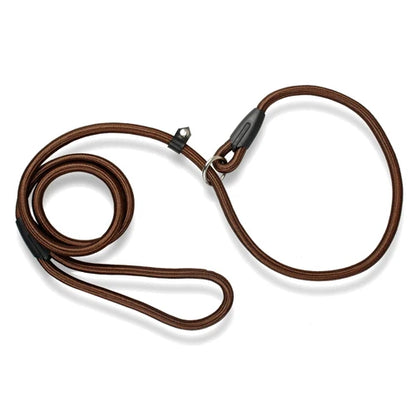 Collier en corde marron avec laisse intégrée pour chien, présenté à plat sur fond clair.
