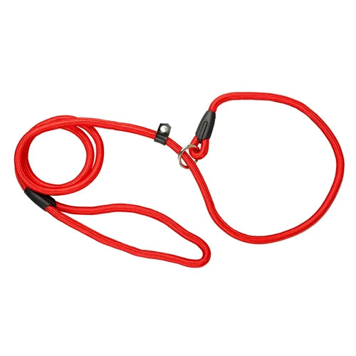 Collier en corde rouge avec laisse intégrée pour chien, présenté à plat sur fond clair.