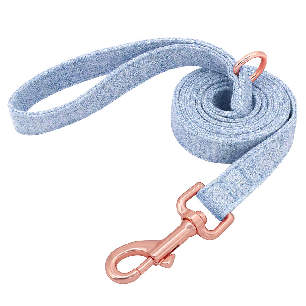 Laisse bleue pour chien avec mousqueton métal rose présenté seule sur fond blanc.