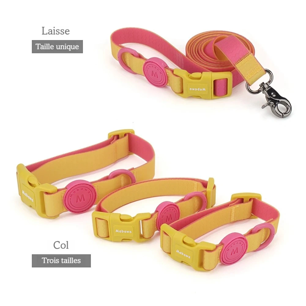 Présentation de la laisse taille unique et du collier en trois tailles pour chien.