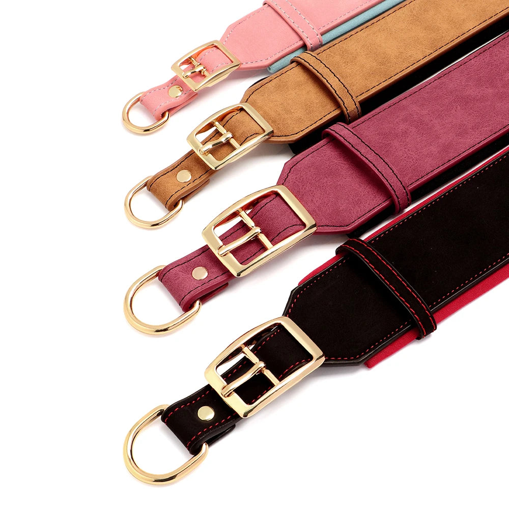 Vue détaillée de plusieurs colliers larges pour chien avec finitions dorées et coloris variés.