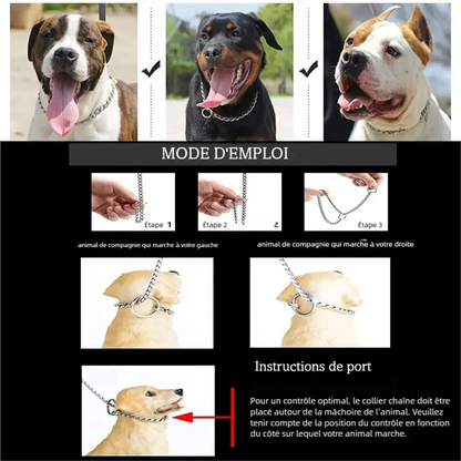 Instructions illustrées pour mettre un collier argenté autour du cou du chien.