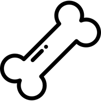 Motifs os et pattes. Unique.
