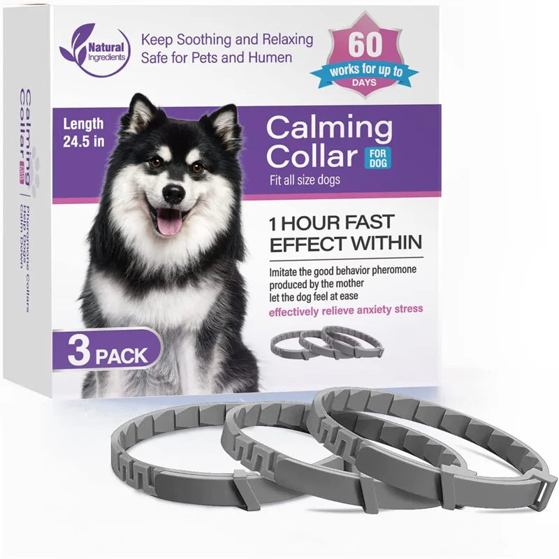 Pack de 3 colliers anti-stress gris pour chien avec boîte produit sur fond clair