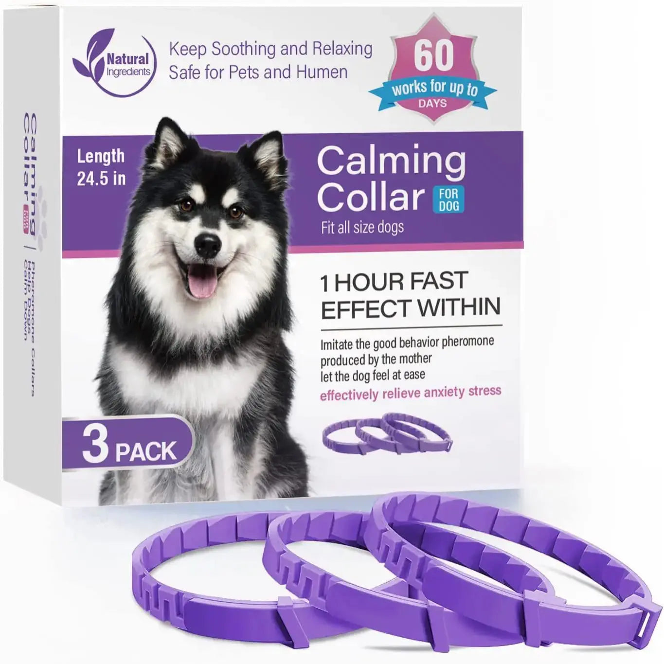 Pack de 3 colliers anti-stress violets pour chien avec boîte produit sur fond clair