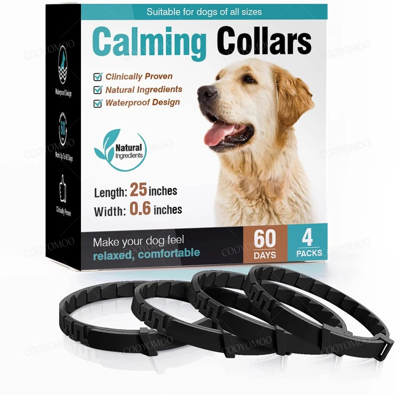 Pack de 4 colliers anti-stress noirs pour chien avec boîte produit sur fond clair