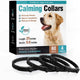Pack de 4 colliers anti-stress noirs pour chien avec boîte produit sur fond clair