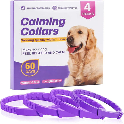 Pack de 4 colliers anti-stress violets pour chien avec boîte produit sur fond clair