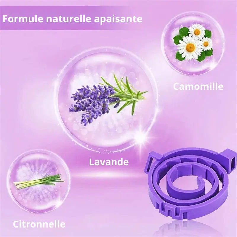 Illustration d’un collier apaisant pour chien accompagné d’ingrédients naturels comme la lavande, la camomille et la citronnelle