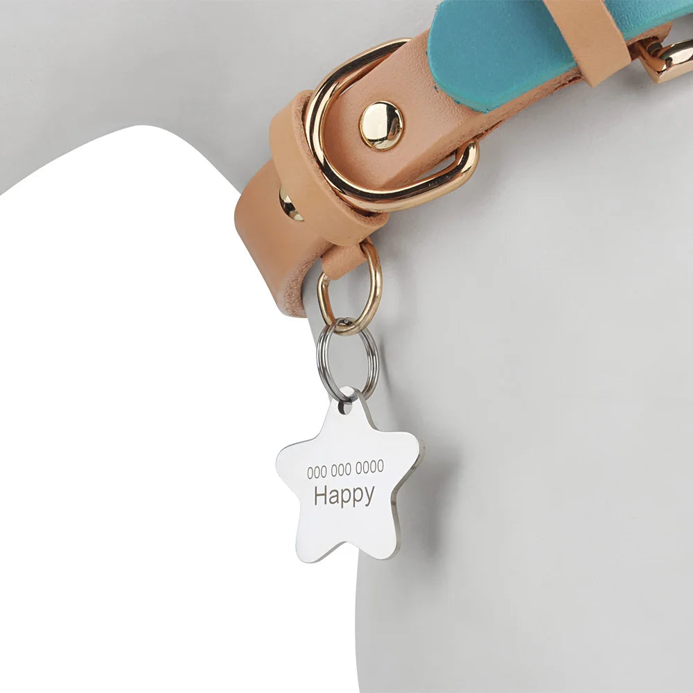 Pendentif personnalisé en forme d’étoile argentée monté sur un collier de chien.