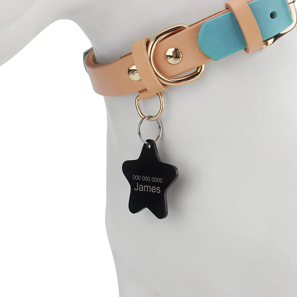 Pendentif personnalisé en forme d’étoile noire monté sur un collier de chien.