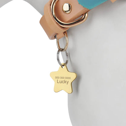 Pendentif personnalisé en forme d’étoile dorée monté sur un collier de chien.