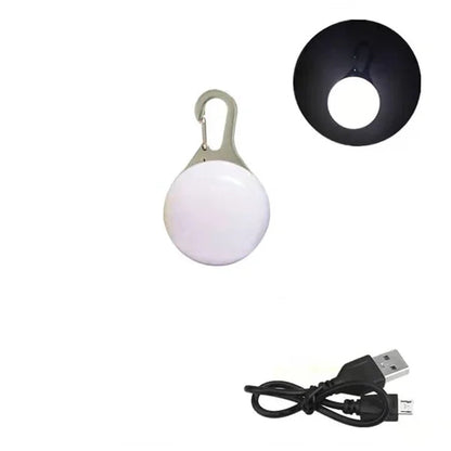 Pendentif lumineux blanc pour chien avec câble USB sur fond blanc et vignette pendentif allumé en haut à droite de l'image.