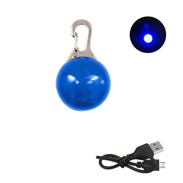 Pendentif lumineux bleu pour chien avec câble USB sur fond blanc et vignette pendentif allumé en haut à droite de l'image.