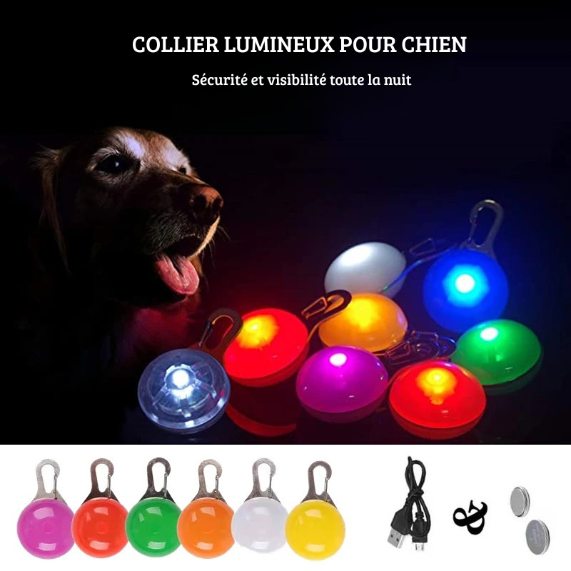 Pendentifs lumineux pour collier de chien en plusieurs couleurs avec câble USB et piles.