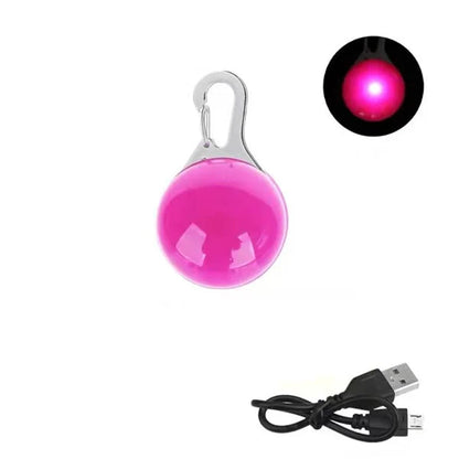 Pendentif lumineux rose pour chien avec câble USB sur fond blanc et vignette pendentif allumé en haut à droite de l'image.