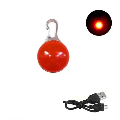 Pendentif lumineux rouge pour chien avec câble USB sur fond blanc et vignette pendentif allumé en haut à droite de l'image.