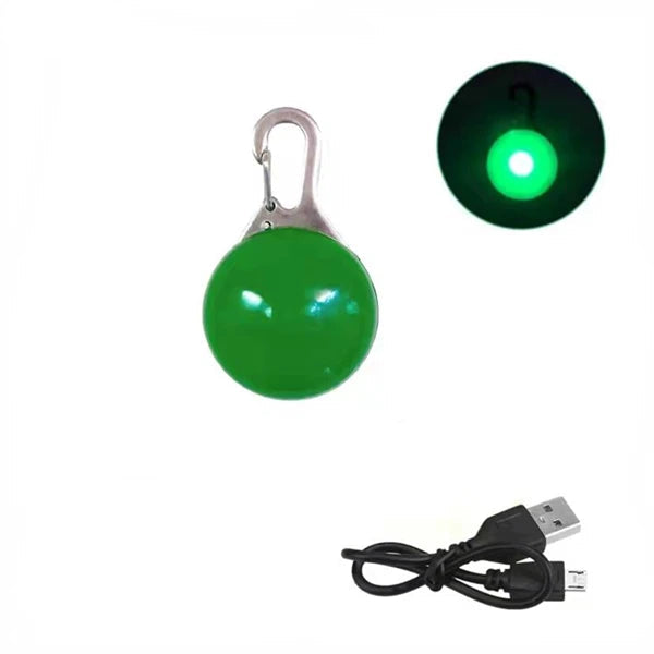 Pendentif lumineux vert pour chien avec câble USB sur fond blanc et vignette pendentif allumé en haut à droite de l'image.