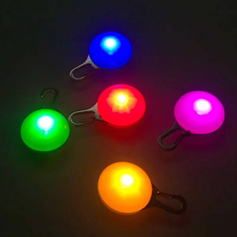 Cinq pendentifs lumineux pour chien allumés en bleu, rouge, vert, rose et orange sur fond noir.