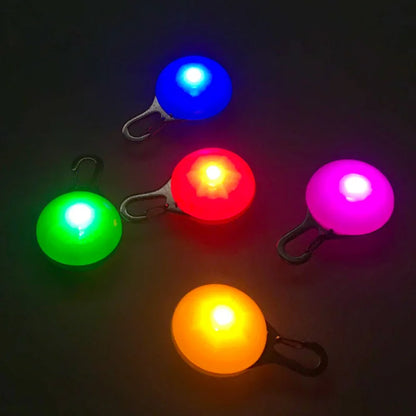 Cinq pendentifs lumineux pour chien allumés en bleu, rouge, vert, rose et orange sur fond noir.