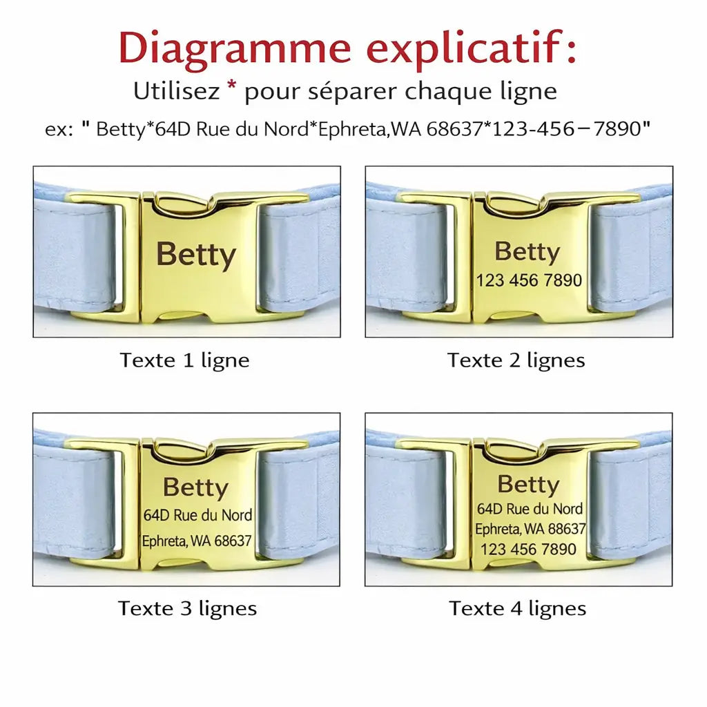 Schéma montrant plusieurs exemples de gravure sur la boucle d’un collier personnalisé pour chien.